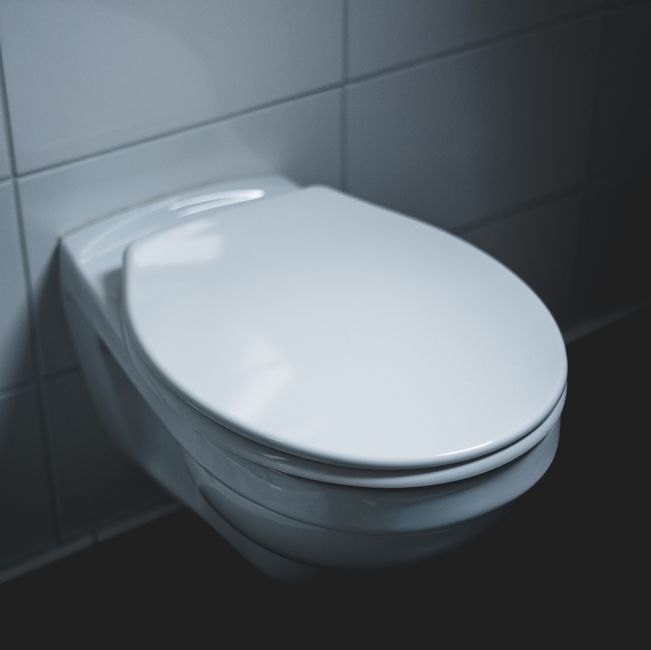toilet repair orange county ca