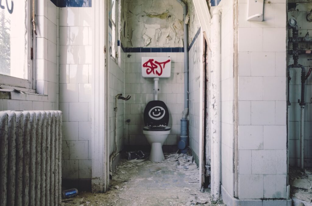 clogged toilet repair