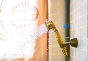 leaking shower head